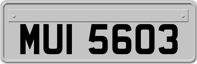 MUI5603