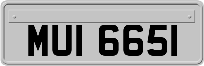 MUI6651