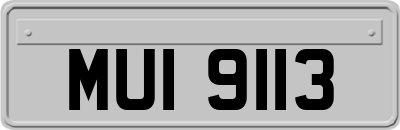 MUI9113