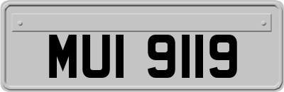 MUI9119