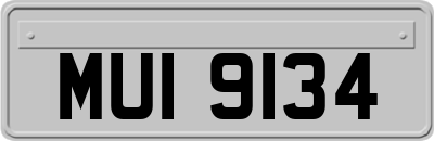 MUI9134