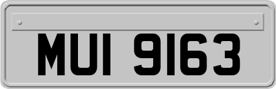 MUI9163