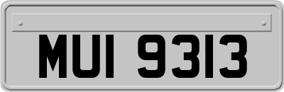 MUI9313
