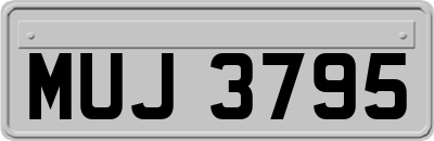 MUJ3795