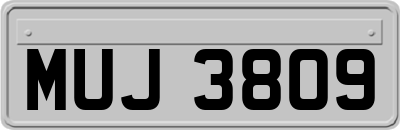 MUJ3809