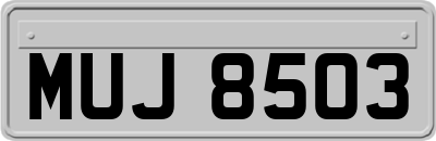 MUJ8503