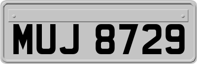 MUJ8729