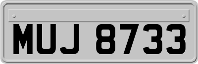 MUJ8733