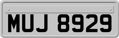 MUJ8929