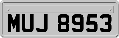 MUJ8953