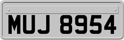 MUJ8954