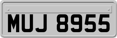 MUJ8955