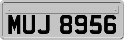 MUJ8956