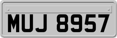 MUJ8957