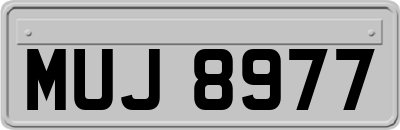 MUJ8977