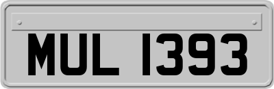 MUL1393