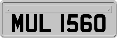 MUL1560