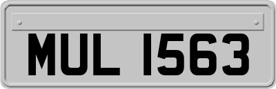 MUL1563