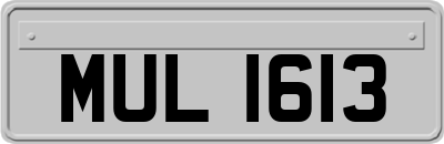 MUL1613