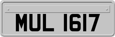 MUL1617