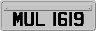 MUL1619