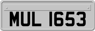 MUL1653