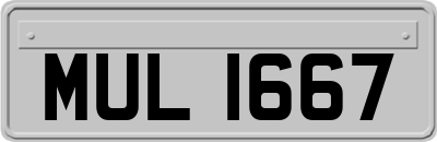 MUL1667