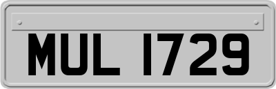 MUL1729