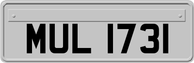 MUL1731