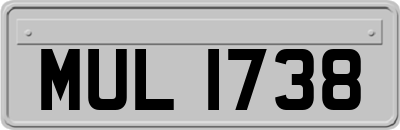 MUL1738