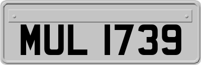 MUL1739