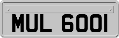 MUL6001