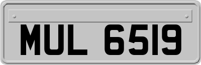 MUL6519