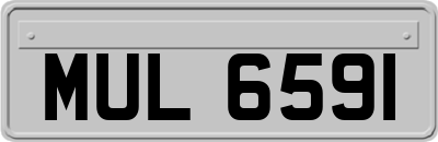 MUL6591