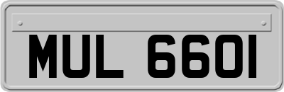 MUL6601