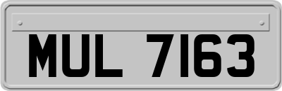 MUL7163