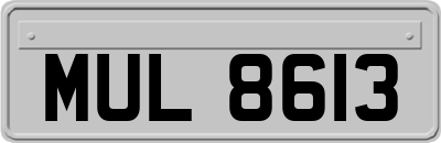 MUL8613