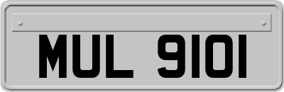 MUL9101