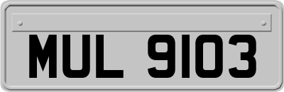 MUL9103