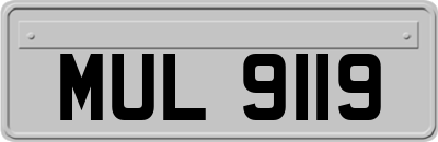 MUL9119