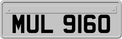 MUL9160