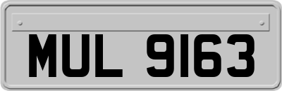 MUL9163