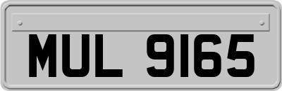 MUL9165