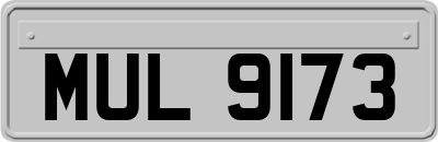 MUL9173