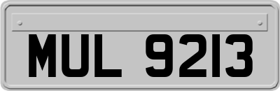 MUL9213