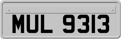 MUL9313