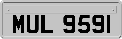 MUL9591