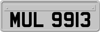 MUL9913