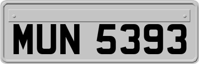 MUN5393