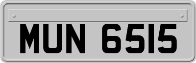 MUN6515